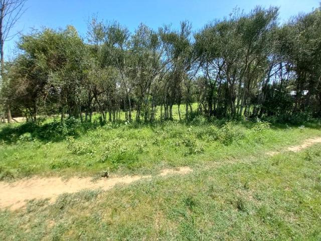 Nanyuki 5 Acre Residential Land for sale near Burguret