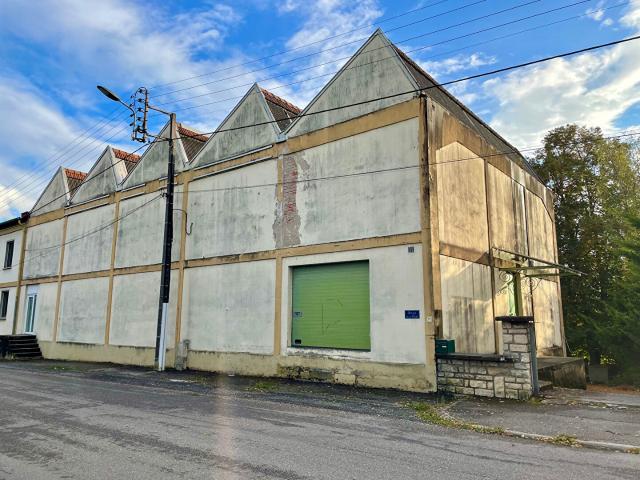 Nançois sur Ornain Vente Immeuble 55