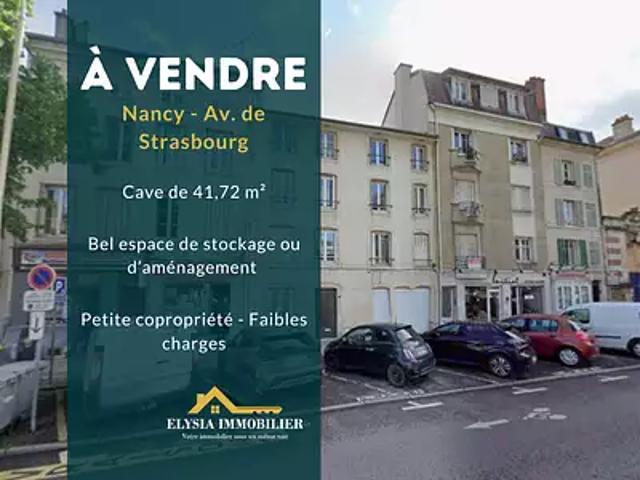 Nancy 54000 Achat / Vente divers 1 pièce