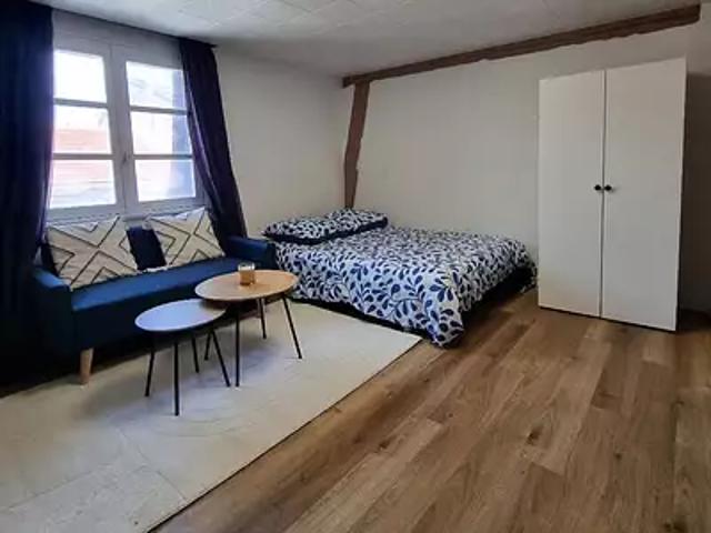 Nancy 54000 Location appartement 1 pièce t1 cave