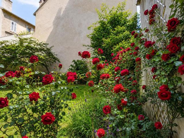 Nancy Vente Appartement 54