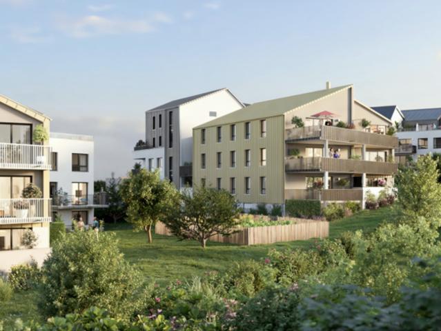 Nancy Vente Appartement 54