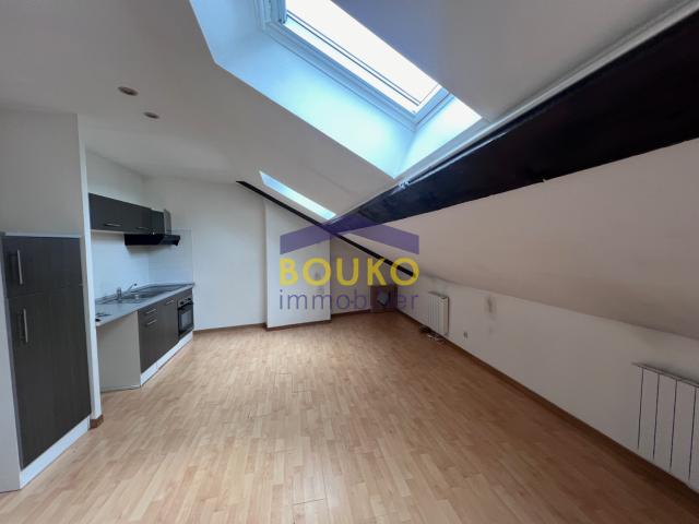 NANCY Appartement T3