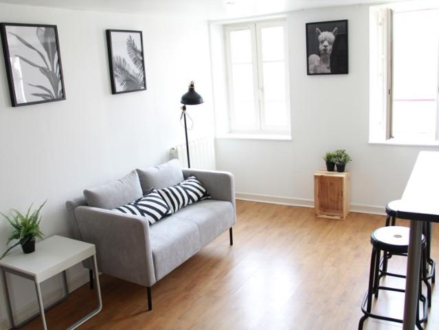 NANCY CENTRE / QUARTIER 4 ÉGLISES: SUPERBE APPARTEMENT T3 MEUBLÉ