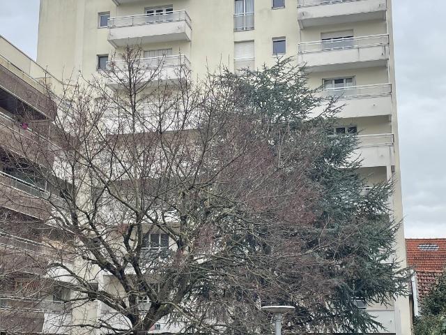 Nancy Location Appartement 54