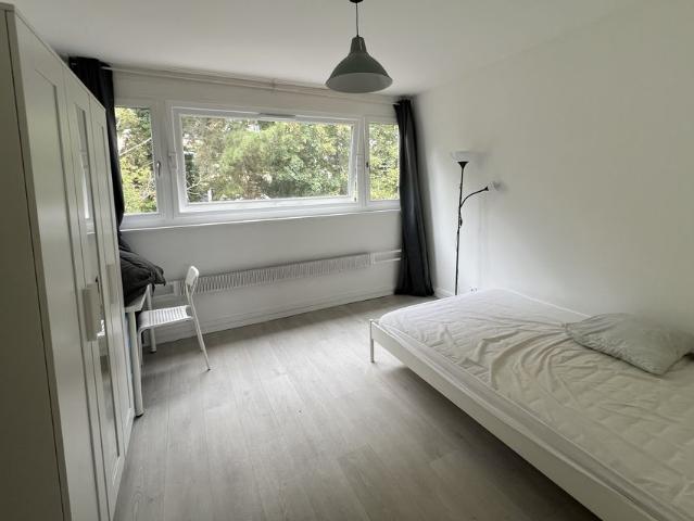 Nancy Location Appartement 54