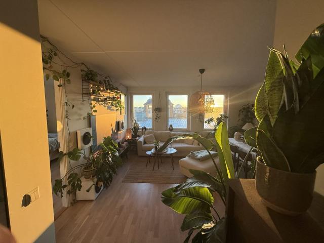 Nackagatan, Stockholm