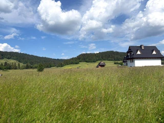 Nadwodnia 900 m², Czarna Góra