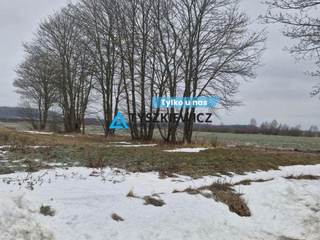 Nadmorska 20 000 m², Jezierzany