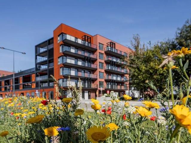 Nadmotławie Apartments etap I