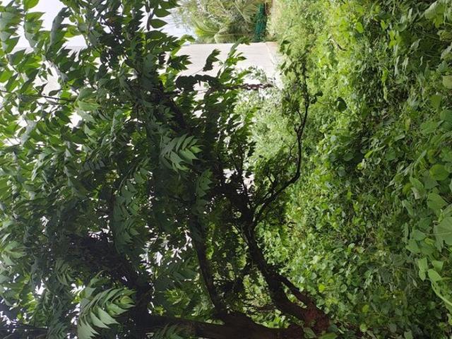 Nagegowdapalya 600 Sq.Ft. Plot in Nagegowdanapalya Bangalore Listing ID: #10091
