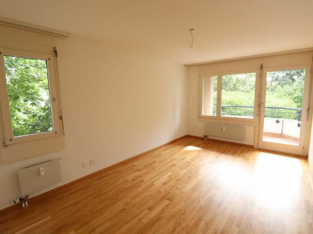 Nähe Morgartenring und Schützenmattpark Gemütliche 3 1/2 Zimmer Wohnung in Allschwil