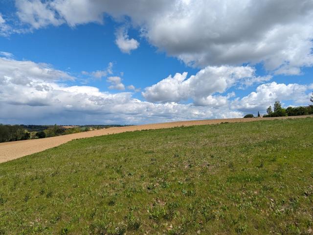 Nailloux Vente Terrain 31