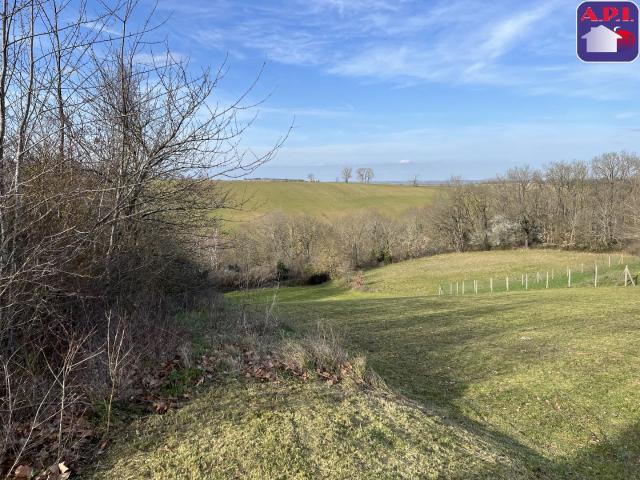 Nailloux Vente Terrain 31
