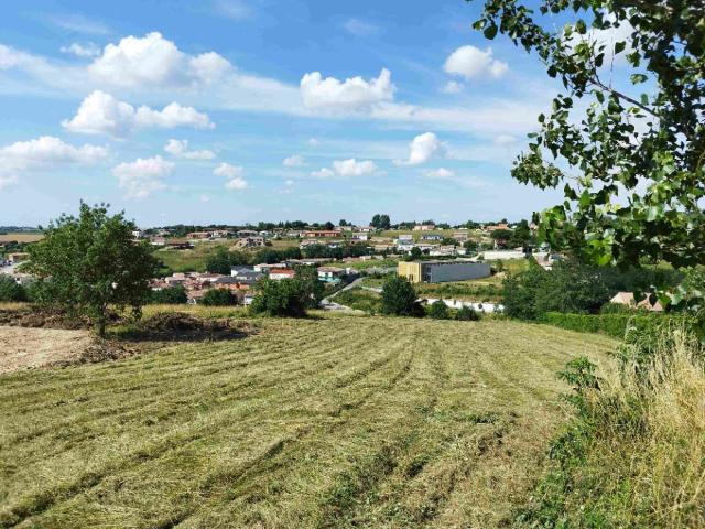 Nailloux Vente Terrain 31