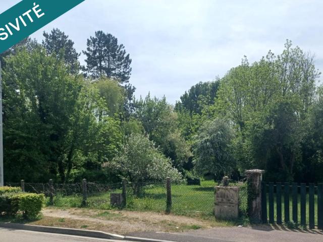 Nailly Vente Terrain 89