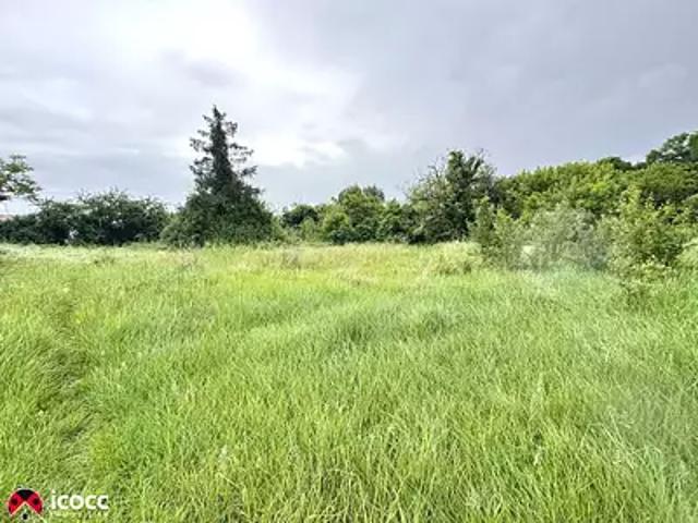 Nalliers 85370 Achat / Vente terrain