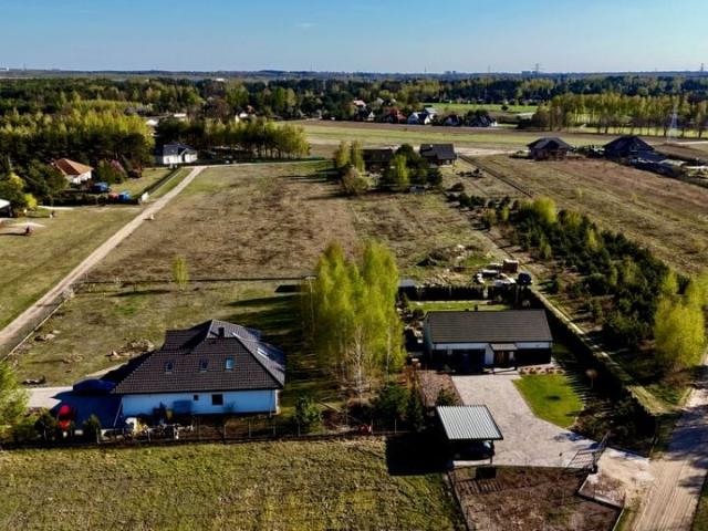Napoleona 3 000 m², Rosanów