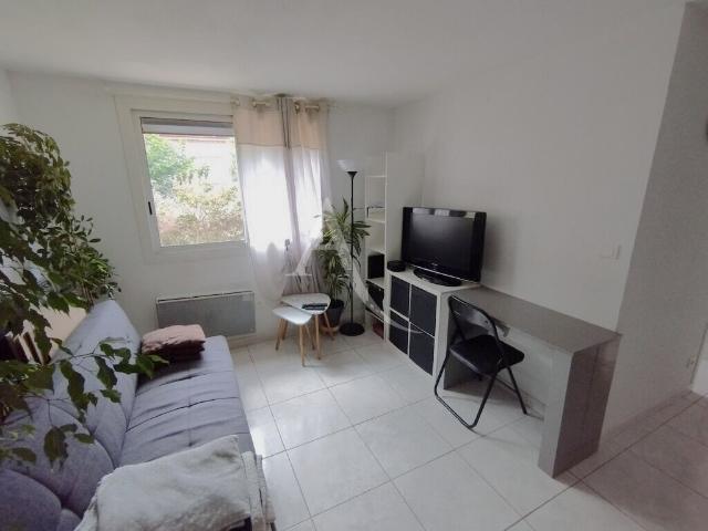 Narbonne Location Appartement 11