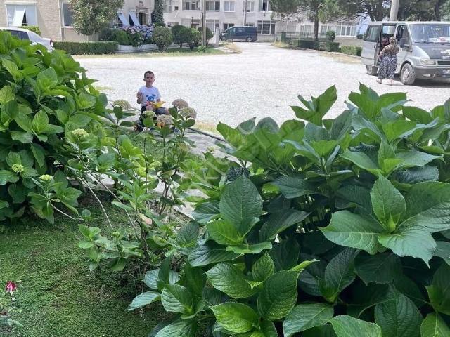 Çınarcık/karpuzdere/siteiçi/70m2/1+1 Satılık/daire
