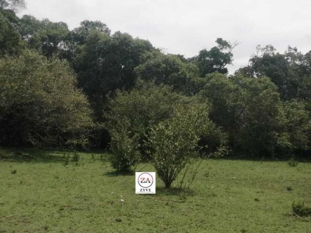 Narok: Masai Mara 70acres land available for sale