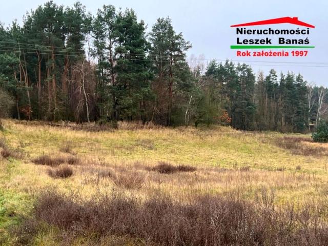 Nasturcjowa 2 1 900 m², Grudziądz