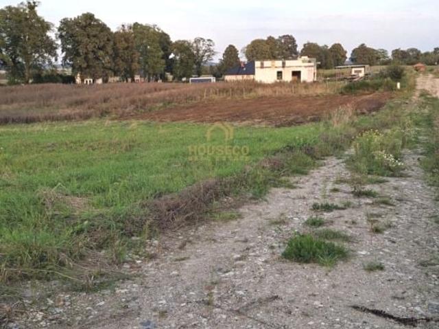 Nasturcji 1 004 m², Gołębiewo Wielkie
