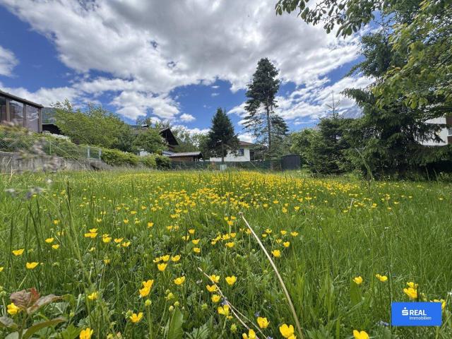 Natur genießen. Zuhause schaffen