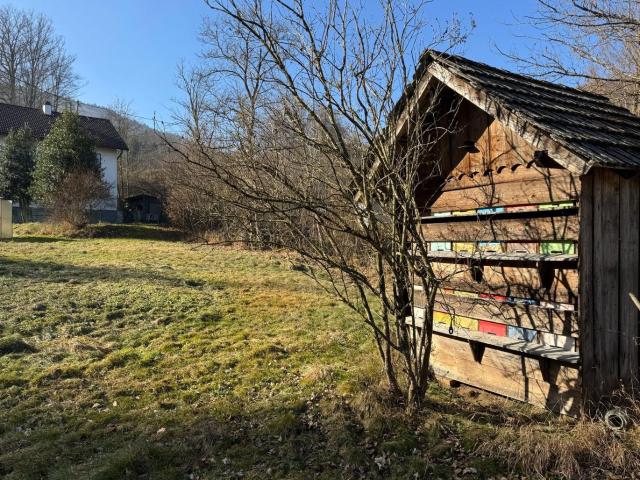 Natur pur