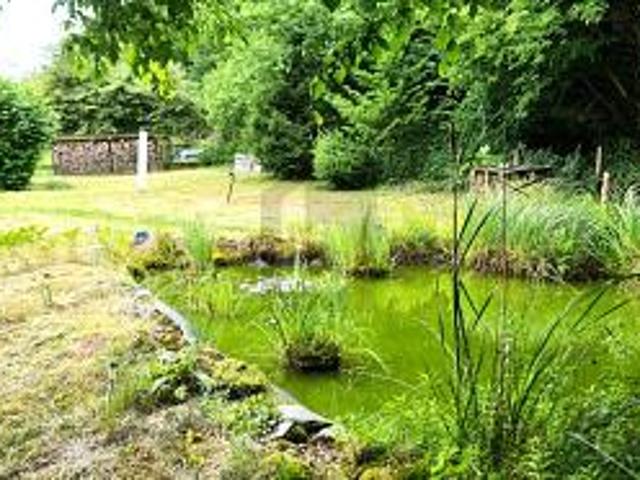 NATUR PUR  ENTSPANNUNG ZUHAUSE