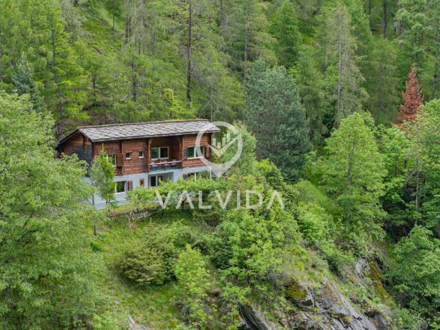 Natur pur Ferienhaus in malerischer, ruhiger Lage