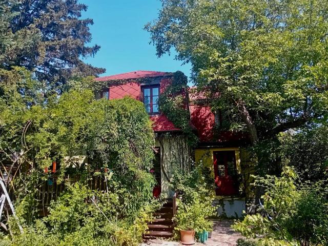 Natur pur, tolles Haus