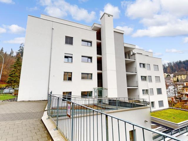 Naturnah wohnen, stadtnah leben – moderne 4.5 Zimmer Wohnung in Luzern