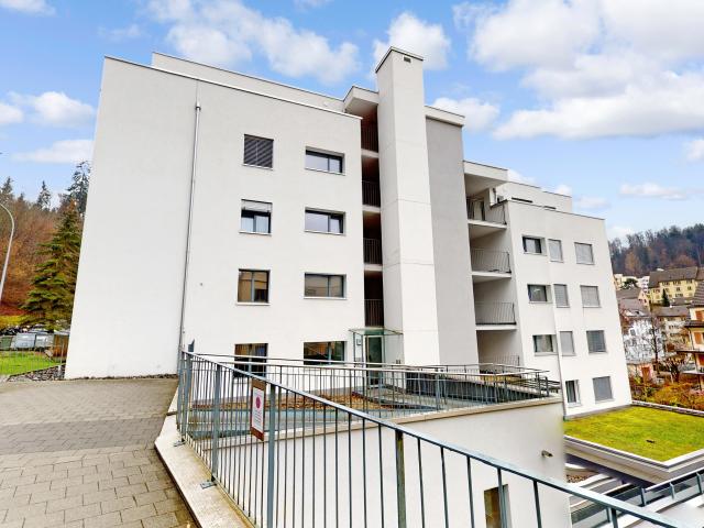 Naturnah wohnen, stadtnah leben moderne 4.5 Zimmer Wohnung in Luzern
