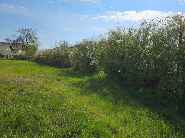 Naturnah Bauen in Mamling Sonniges Grundstück Sucht Dich
