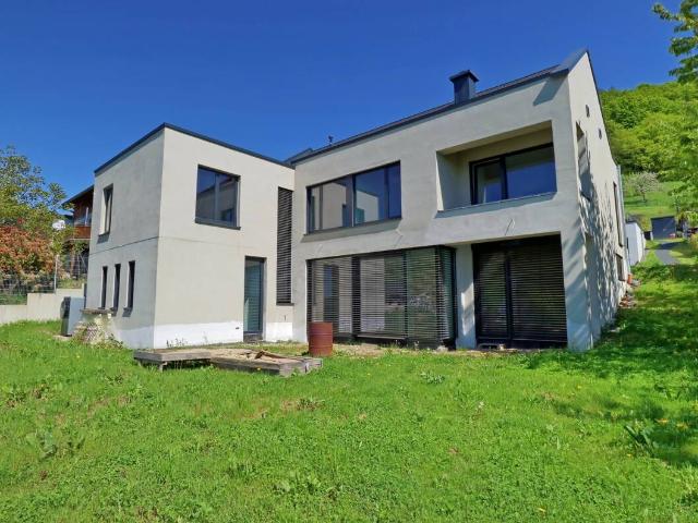 Naturnah, modern und energieeffizienzt Neubau Einfamilienhaus mit Einliegerwohnung in Kasel