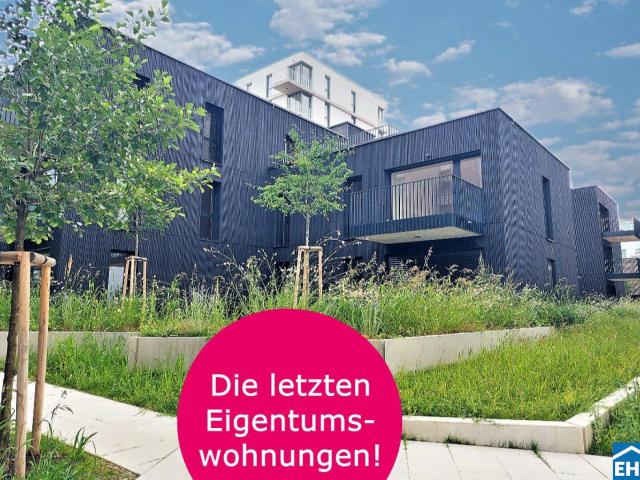 Naturnahes Paradies mit städtischen Annehmlichkeiten: Das ist der Wildgarten!