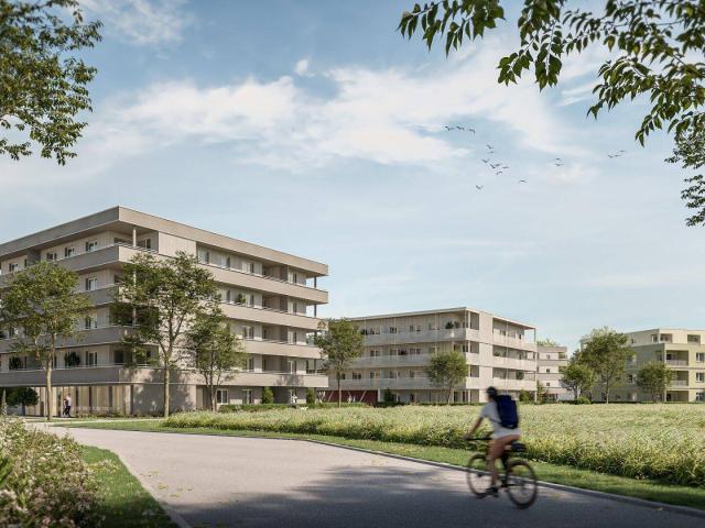 Naturnahes Wohnen in Gunskirchen geförderte Mietwohnungen in moderner Hybridbauweise