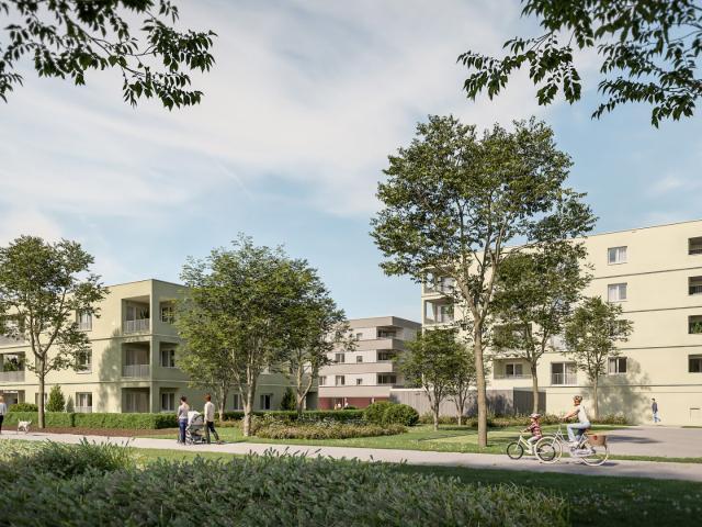 naturnahes wohnen in gunskirchen geförderte mietwohnungen in moderner hybridbauweise