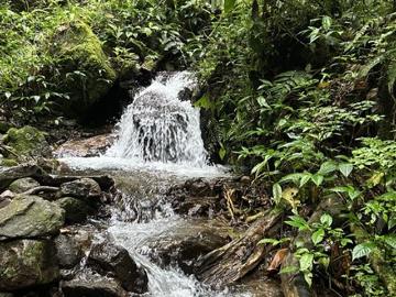 Naturaleza y tranquilidad en su máxima expresión