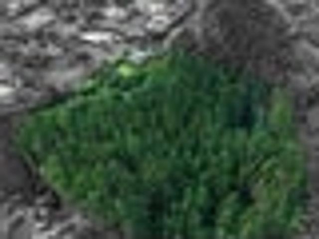 Your Own Nature Retreat Nearly 2ha in the City!