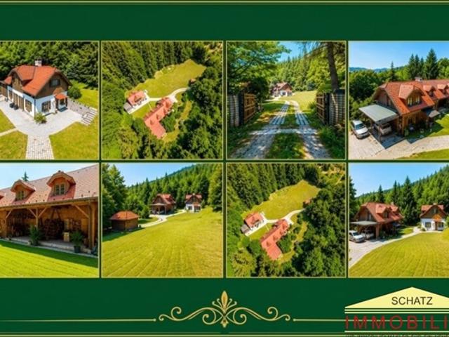 NATURIDYLLE ZWEI WOHNHÄUSER EIN ANWESEN IM SCHÖNEN TRIESTINGTAL