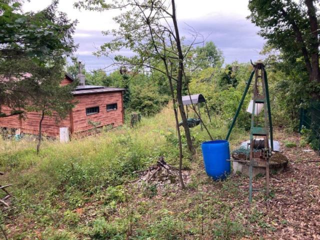 Naturidylle am Anninger Kleingartenhaus mit großem Garten!