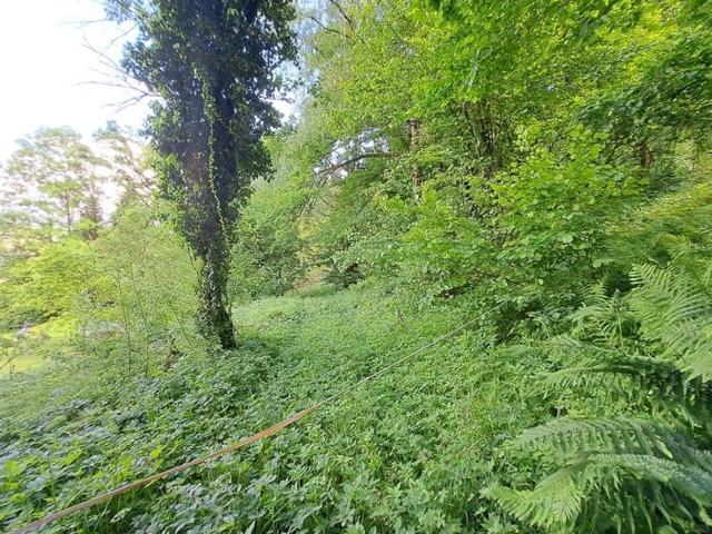 Naturliebhaber aufgepasst: Landwirtschaftliche Hofstelle möchte wieder wachgeküsst werden