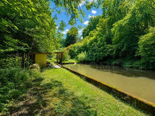 Naturparadies mit 7 Fischteichen Einzigartige Freizeit und Fischzuchtanlage in Gränichen