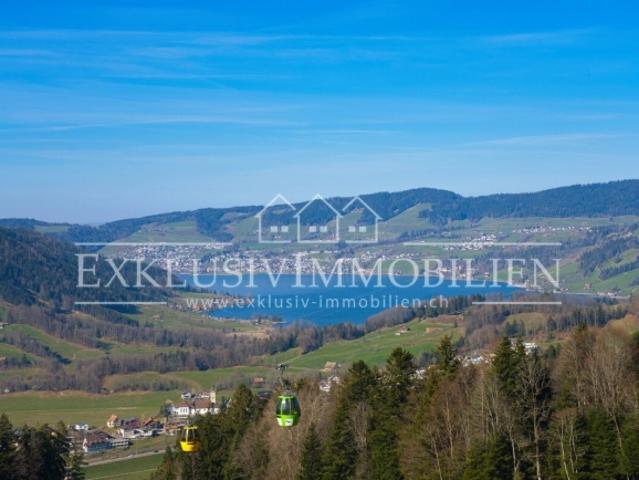 Naturparadies mit Sicht auf die Rigi & den Ägerisee