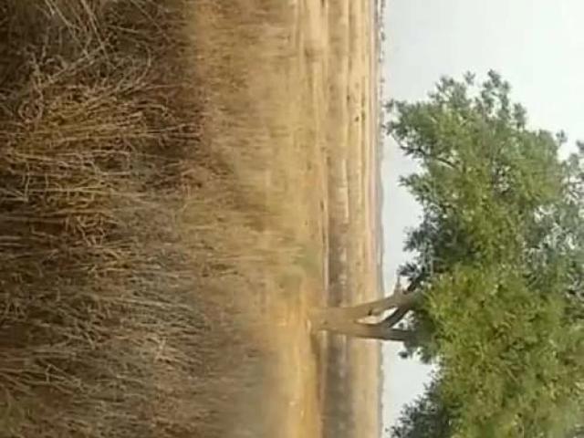Nathern Valley Karachi Paposh Nagar ID 65588