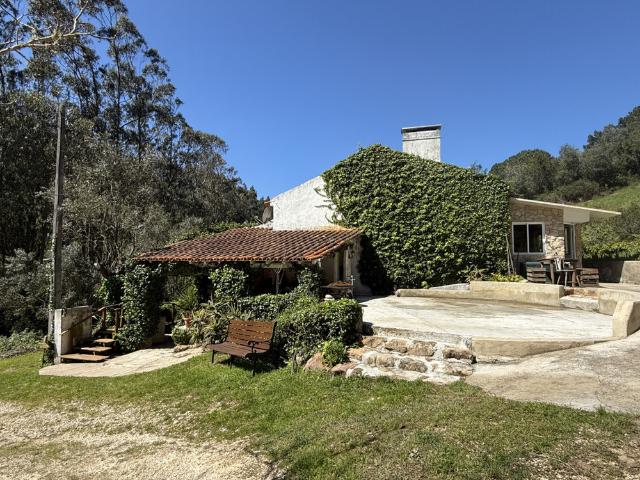 Countryside House nearby Nazaré and Alcobaça