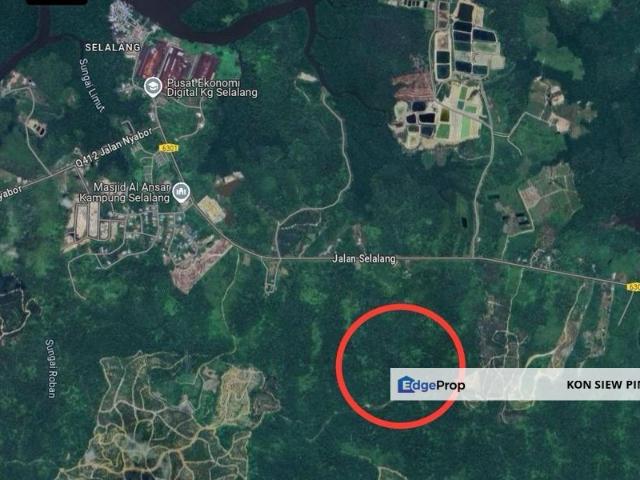 Native Agriculture Land for At Jalan Selalang Sarikei