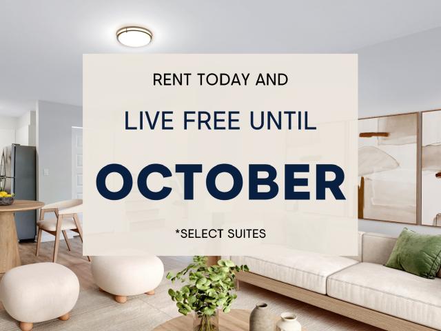 One80five One Bedroom Suites Apartment for Rent